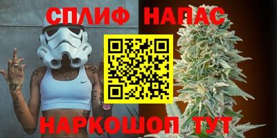 дживик Камышлов