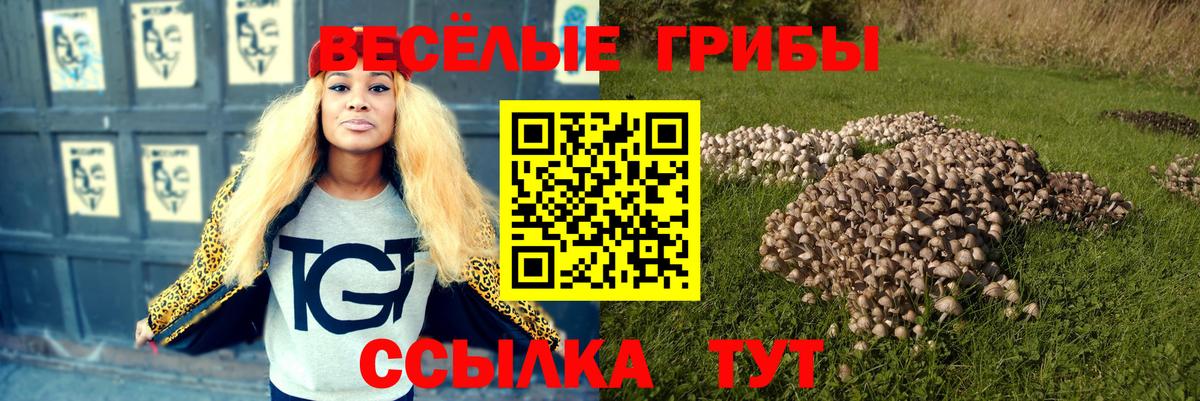 Лыткарино  Псилоцибиновые грибы мухоморы  Вход с VPN 