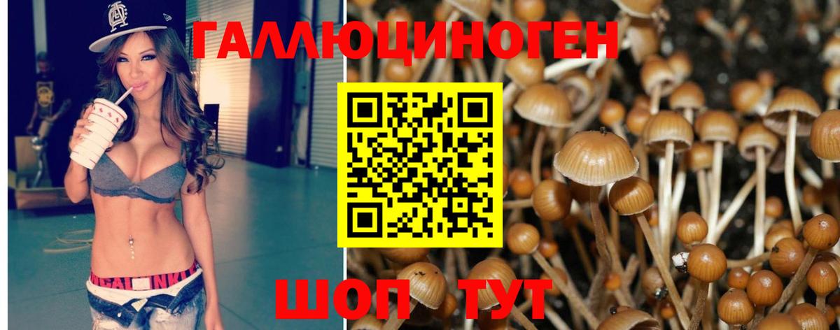Псилоцибиновые грибы Psilocybine cubensis Лыткарино